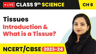 Tissues  Introduction amp What is a Tissue  Class 9 Science Chapter 6 LIVE [upl. by Pillihp]