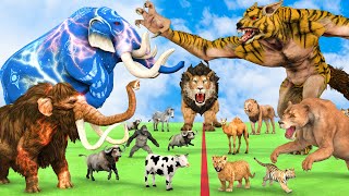 5 Giant Mammoth Elephant Cow Vs 5 Giant Lion Tiger Wolf Attack Buffalo Zebra Saved by Woolly Mammoth [upl. by Langley]