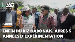 Le Gabon se lance dans la production de semence de riz [upl. by Nylatsyrc]