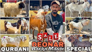 Deonar bakra mandi latest update 2024  Qurbani live goats [upl. by Adniralc]