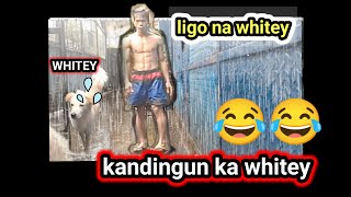 ligo sa ulan w WHITEY😂 [upl. by Kain]