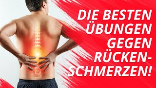 Rückenschmerzen einfach wegtrainieren  20 Minuten Workout [upl. by Nickie]