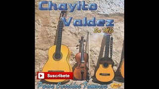 Chayito Valdez  Puros Corridos Famosos En Mix [upl. by Eilrak830]