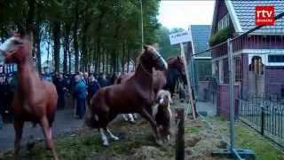 Jannes verkocht op Zuidlaardermarkt [upl. by Halli]