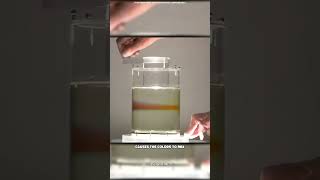 Laminar Flow science sciencefacts [upl. by Ecreip]