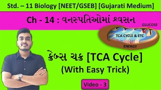 Krebs Cycle  TCA cycle  Short Trick to memorize in 5 minutes  Gujarati Medium [upl. by Erb]