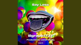 Say Less [upl. by Lartnom]