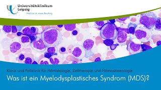 Was ist ein Myelodysplastisches Syndrom MDS [upl. by Batty638]