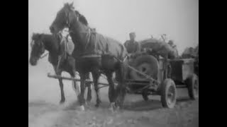 German troops and horsedrawn wagons [upl. by Yearwood]