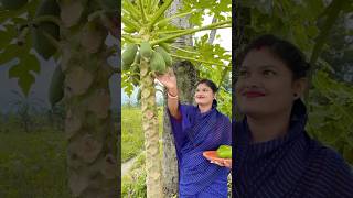 Bengali papaya Ambol Recipe 🤤shorts [upl. by Mayeda]