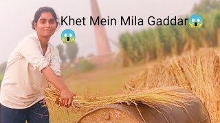 Khet Mein Mila Gaddar 😱😱😱🔥vlogger video trending videoviral videoYouTube video [upl. by Haeli]