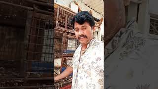 Chicken in Telangana viralvideo [upl. by Sutsugua]