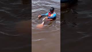 Feeding wild Amazon river dolphin [upl. by Llennahc]