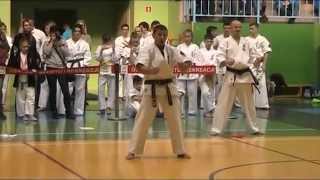 XXI Mistrzostwa Polski Oyama Karate w Kata [upl. by Trow]