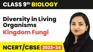 Kingdom Fungi  Diversity in Living Organisms  Class 9 Biology  202324 [upl. by Rausch]