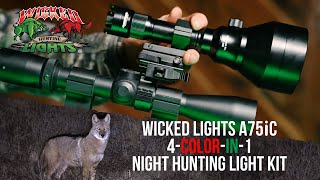 Wicked Lights A75iC 4ColorIn1 Night Hunting Light Kit Overview [upl. by Nelloc]