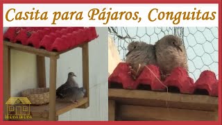 Como hacer una Casita de Madera para Aves  Conguitas Tortolitas Torcacitas [upl. by Yoral]