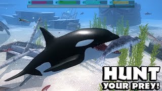 Ultimate Ocean Simulator by Gluten Free Games  Part 1  Android Gameplay HD [upl. by Aikahc209]