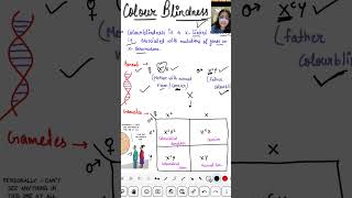 Colour blindness  X linked disorder  genetics biology shorts ytshort viral [upl. by Repsihw]