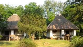 Thokozani Lodge  South Africa [upl. by Danialah522]