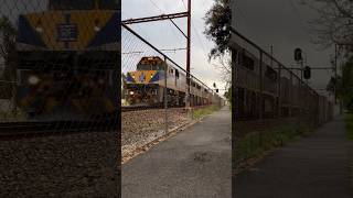 The Long Island Steel Train At Dart Street Highett [upl. by Adnor]