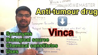 Vinca Antitumour Drug in Pharmacognosy most important drug for board exam [upl. by Mirabella]