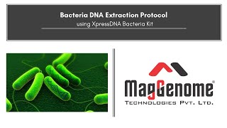 XpressDNA Bacteria Kit  Bacterial DNA Extraction Protocol [upl. by Kristyn]