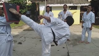 Kempo Mawashi Geri  Roundhouse Kicking [upl. by Enneyehs]