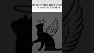 Trata este video como tratarlas tratarlas tu mascota fallecida [upl. by Anilatac]