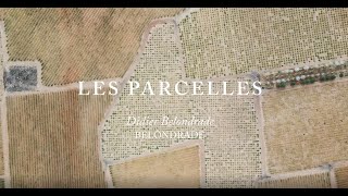 GRANDES VINOS BLANCOS  BELONDRADE LES PARCELLES [upl. by Ecnarrat]