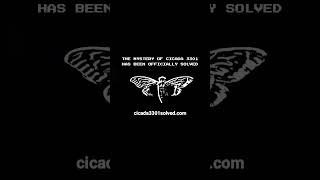 Cicada 3301 officially solved [upl. by Tillion]