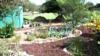 Tour of Xeriscape Garden in Springfield Mo [upl. by Zaller376]