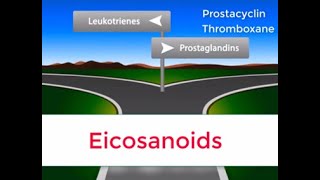 Eicosanoids in 2 minutes Prostaglandins Prostacyclin Thromboxane and Leukotrienes [upl. by Cahn]