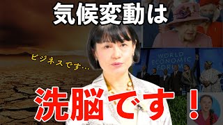 気候変動という洗脳…【河添恵子・SDGS・二酸化炭素・ロスチャイルド・グレタ・チャールズ・U2・イエズス会】 [upl. by Brom699]