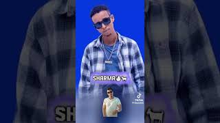 Sharma boy hees cusb ku karbashay Ilkacase qays lyrics shorts [upl. by Dnallor]