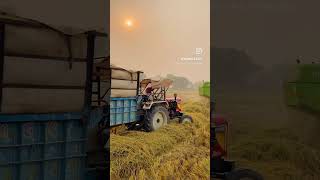 trending viralvideos tractor viral jatt ytshorts shorts khetibadi 1k farming work top [upl. by Rufena]