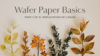 Wafer Paper Flowers Basics for Beginners Part 16 [upl. by Deach526]