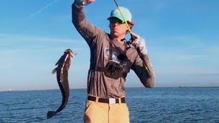 Big Speckled Trout Showing Up At The Wall [upl. by Pratt]