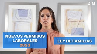 Nuevos Permisos Laborales 2023  Ley de Familias  Nuevos Permisos Retribuidos  DiG Abogados [upl. by Wiburg446]