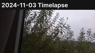 20241103 Timelapse [upl. by Kappenne]