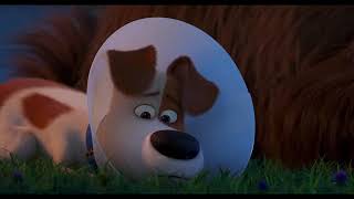 The Secret Life of Pets 2  quotRooster Attacks the Foxquot Clip  Illumination [upl. by Costa]