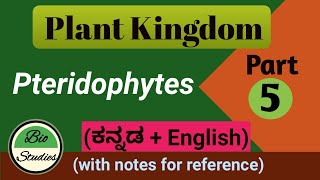 in Kannada Class 11 Plant Kingdom Part 5 Pteridophytes [upl. by Anaugahs358]