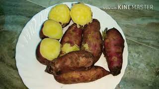 Steamed Sweet Potatoes  Shakarkandi Ubal Ne Ka Tarika  An Easy To Steam Sweet Potato By Sabikas [upl. by Guy]