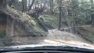 Maruti Wegonr Kalatop Wildlife 4K Off road driving [upl. by Riccardo936]