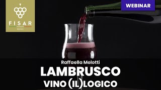 Lambrusco  vino illogico [upl. by Lapo]