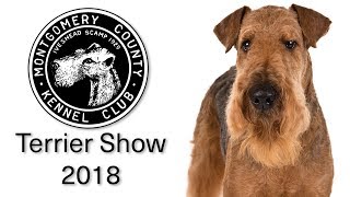 2018 Montgomery County Kennel Club Terrier Show [upl. by Brander]