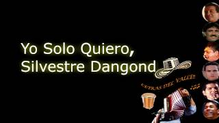 Yo Solo Quiero  Silvestre Dangond Letra [upl. by Eillen]