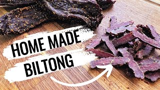 Homemade Venison Biltong Easy DIY Recipe [upl. by Ahsemak845]