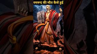 how did namrud die  नमरूद की मौत कैसे हुई  shorts  facts [upl. by Krispin281]