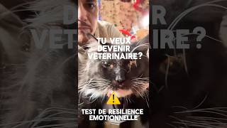 Meilleur test pour savoir si tu peux être vétérinaire 🩺☝️ pimplepopping vet surgeryday cat [upl. by Oicafinob652]